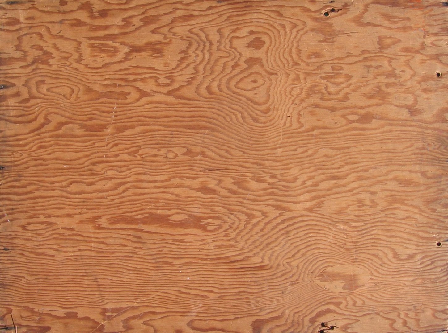 Close-up of layered wood grain across a plywood sheet