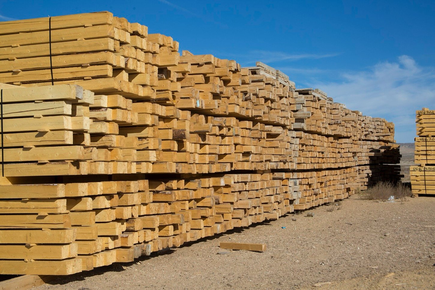 Long stacks of timber stock in an outdoor lumber yard
